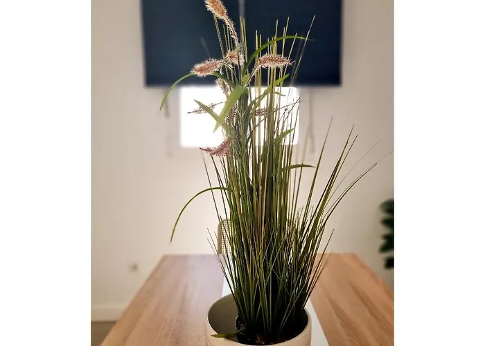 Apartmán Con Sol De Paz *
